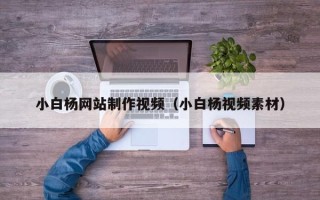 霍邱小白杨网站制作视频（小白杨视频素材）